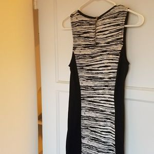 Zebra Dress anyone!? Super slimming dt color block